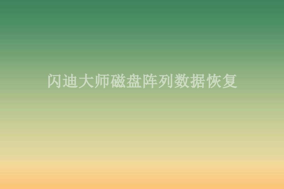 闪迪大师磁盘阵列数据恢复2