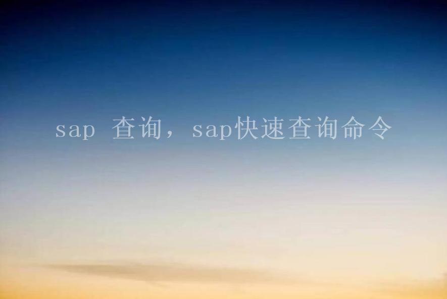 sap 查询，sap快速查询命令2