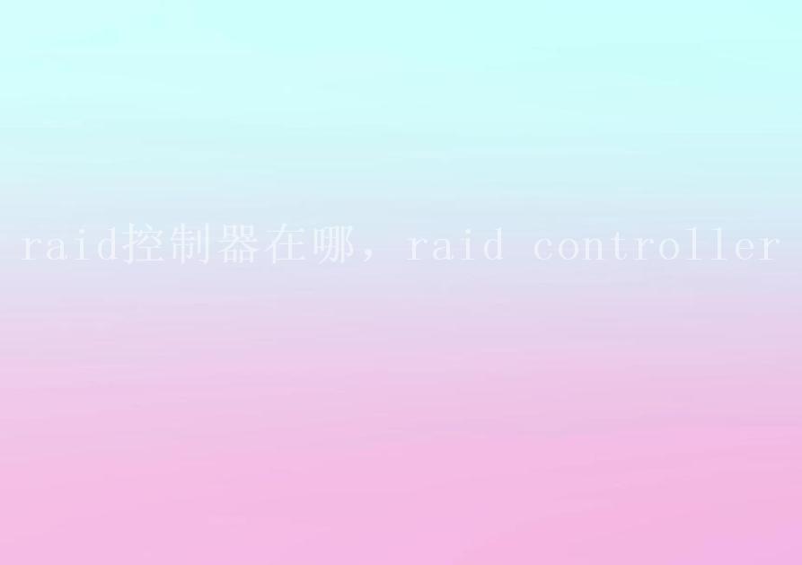 raid控制器在哪，raid controller1