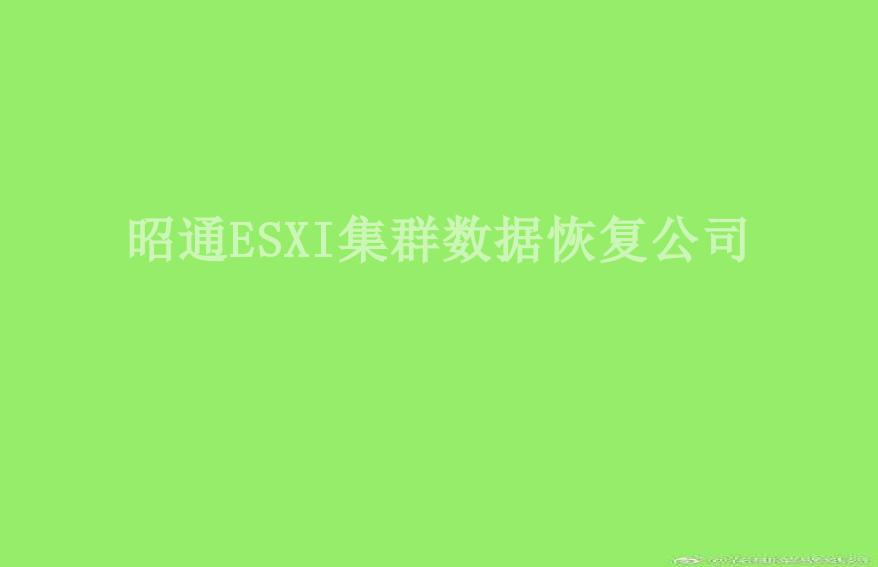 昭通ESXI集群数据恢复公司1