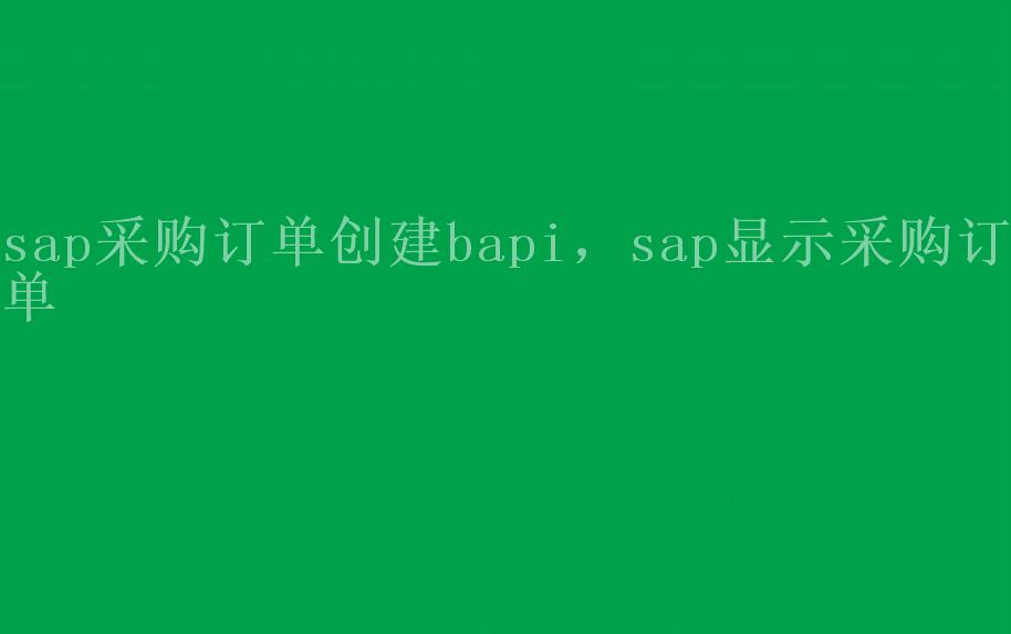 sap采购订单创建bapi，sap显示采购订单2