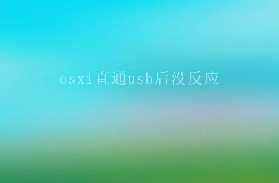 esxi直通usb后没反应1