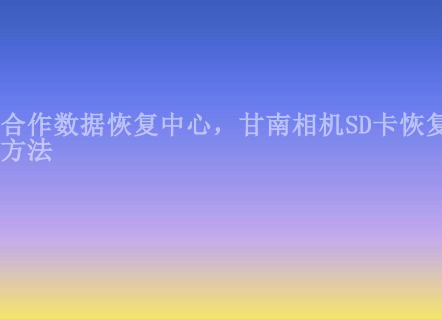 合作数据恢复中心，甘南相机SD卡恢复方法2