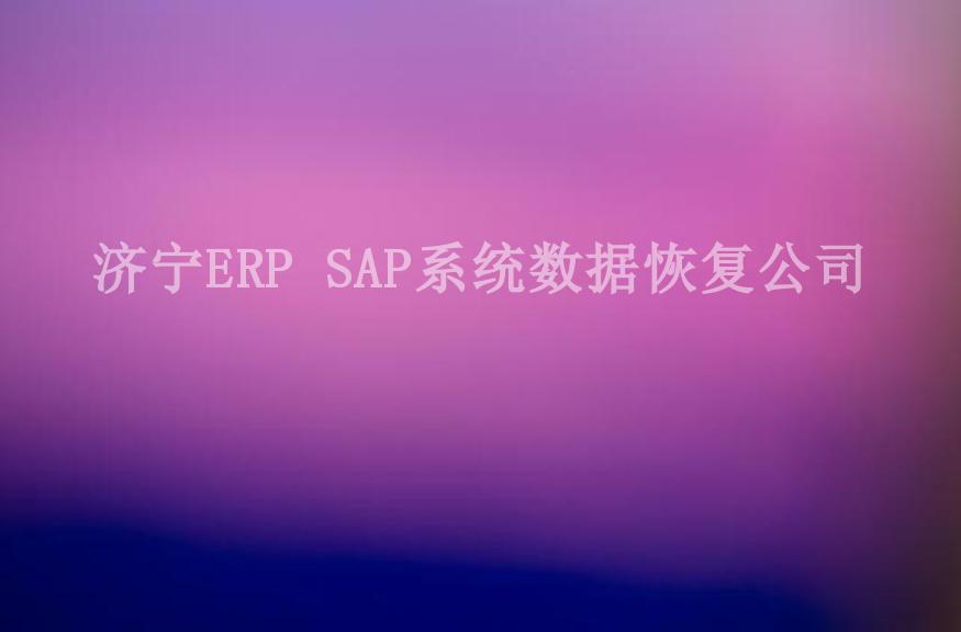 济宁ERP SAP系统数据恢复公司2