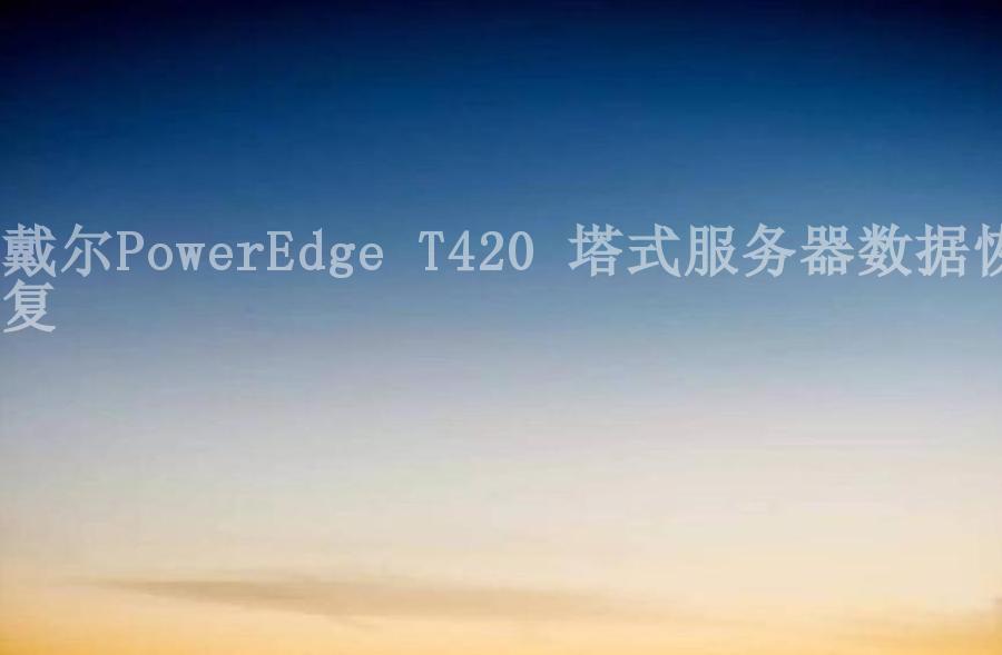 戴尔PowerEdge T420 塔式服务器数据恢复2