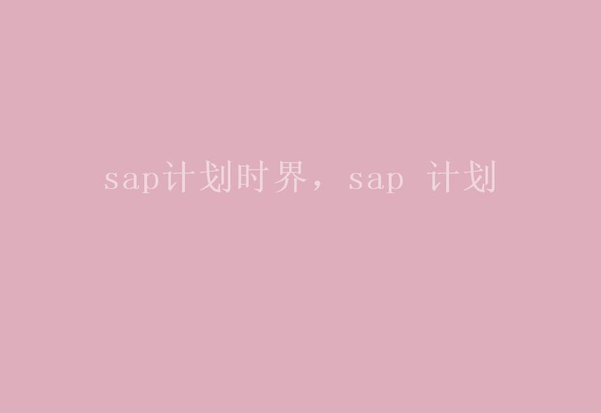 sap计划时界，sap 计划2