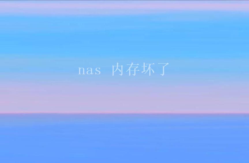 nas 内存坏了1