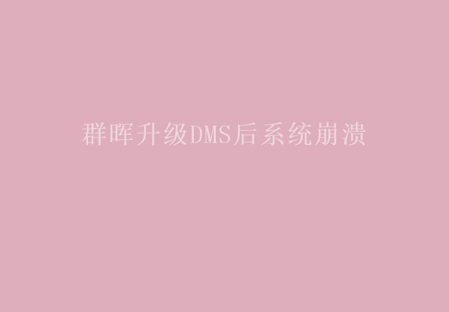 群晖升级DMS后系统崩溃2