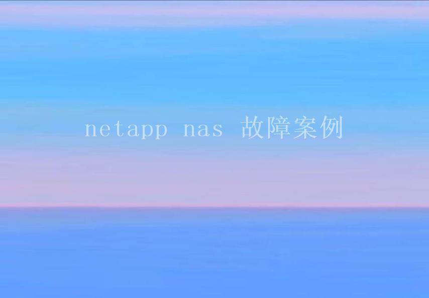 netapp nas 故障案例2