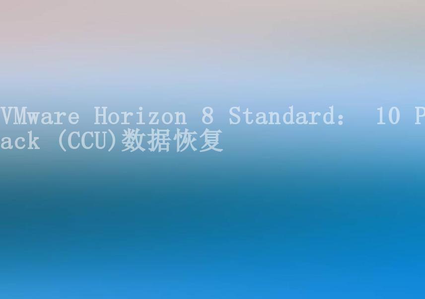 VMware Horizon 8 Standard： 10 Pack (CCU)数据恢复1
