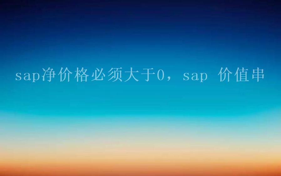 sap净价格必须大于0，sap 价值串2