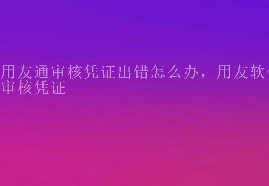 用友通审核凭证出错怎么办，用友软件审核凭证1