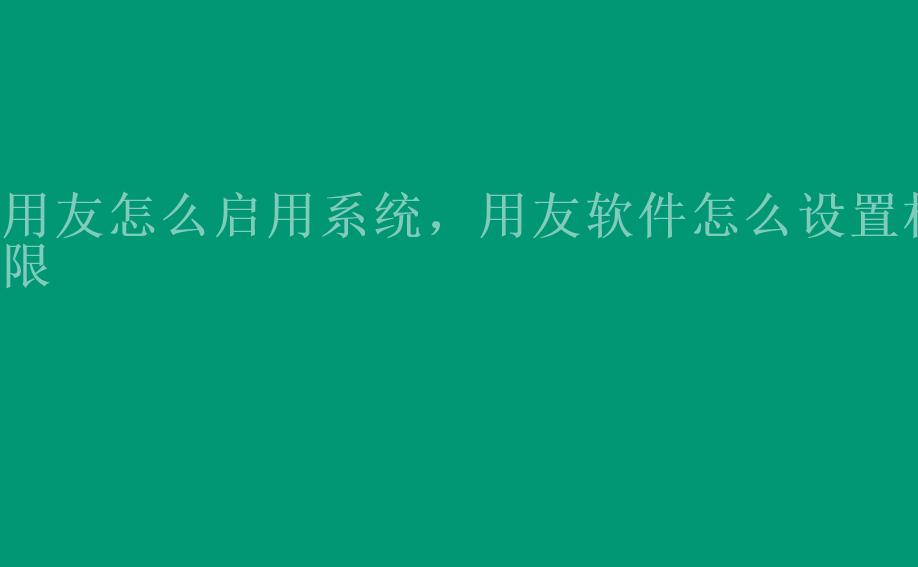 用友怎么启用系统，用友软件怎么设置权限2