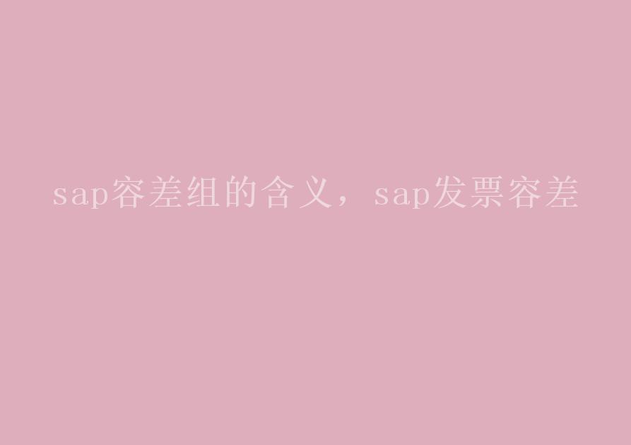 sap容差组的含义，sap发票容差2