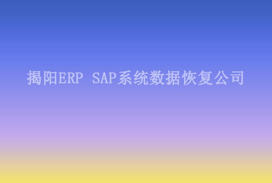 揭阳ERP SAP系统数据恢复公司2