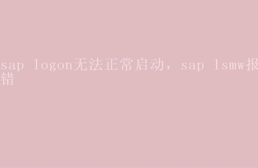 sap logon无法正常启动，sap lsmw报错2