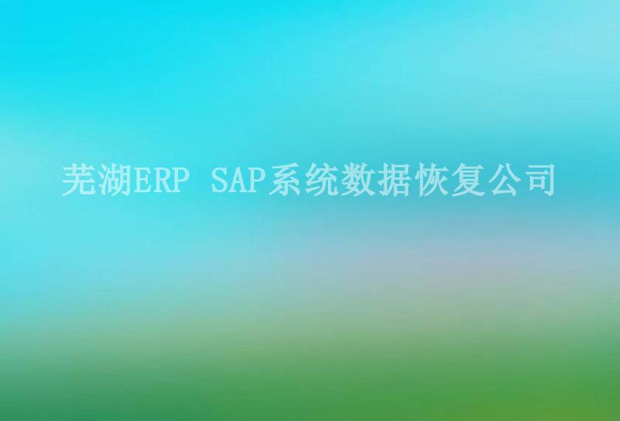 芜湖ERP SAP系统数据恢复公司1