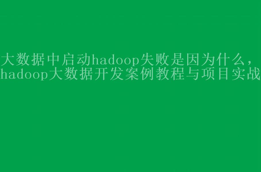 大数据中启动hadoop失败是因为什么，hadoop大数据开发案例教程与项目实战2