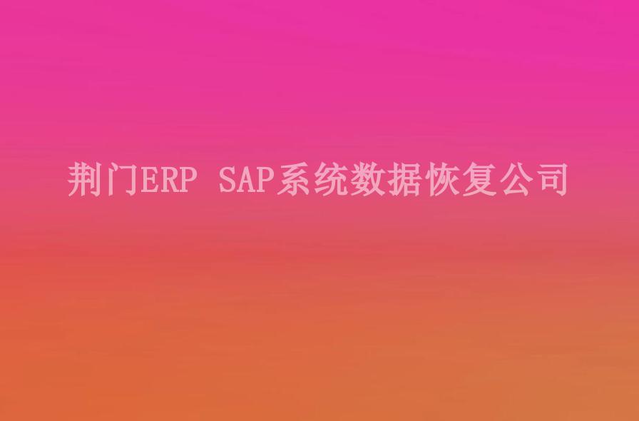 荆门ERP SAP系统数据恢复公司1