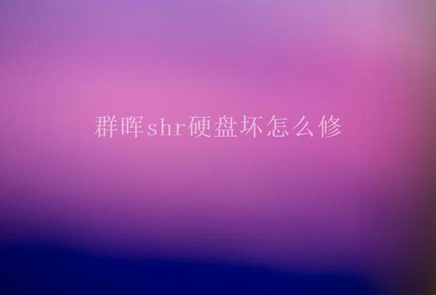 群晖shr硬盘坏怎么修2