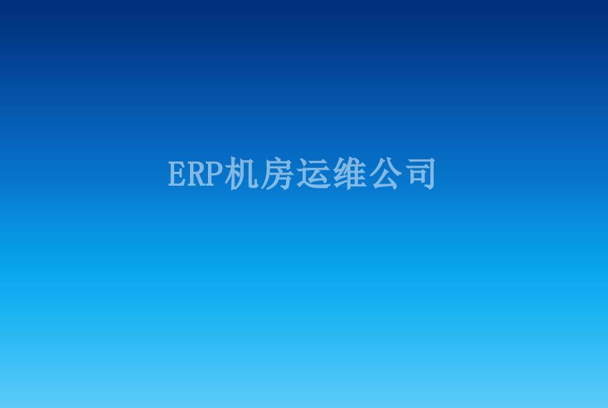 ERP机房运维公司2
