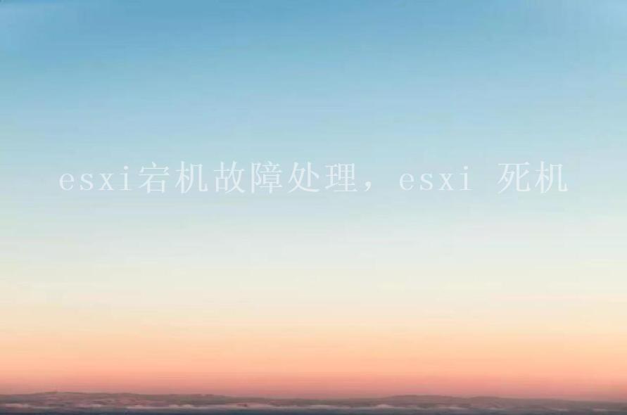 esxi宕机故障处理，esxi 死机2