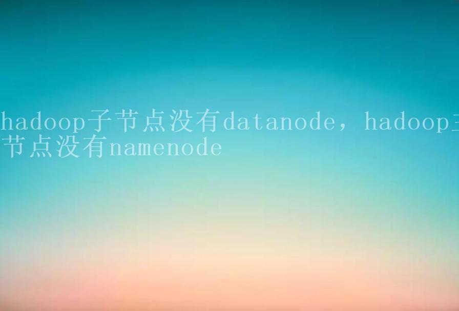 hadoop子节点没有datanode，hadoop主节点没有namenode2