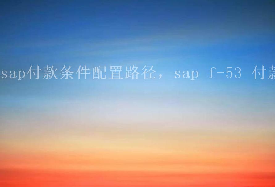 sap付款条件配置路径，sap f-53 付款1