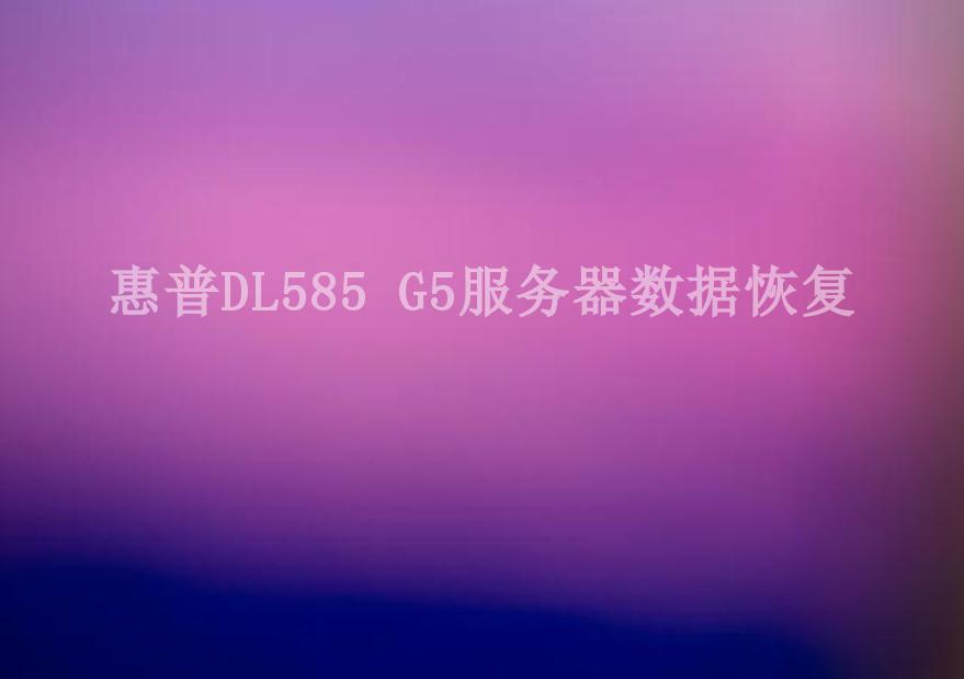 惠普DL585 G5服务器数据恢复2