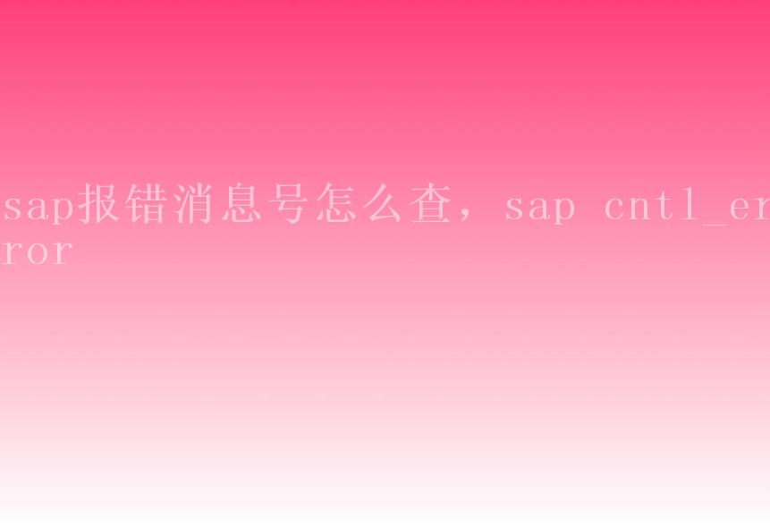 sap报错消息号怎么查，sap cntl_error1