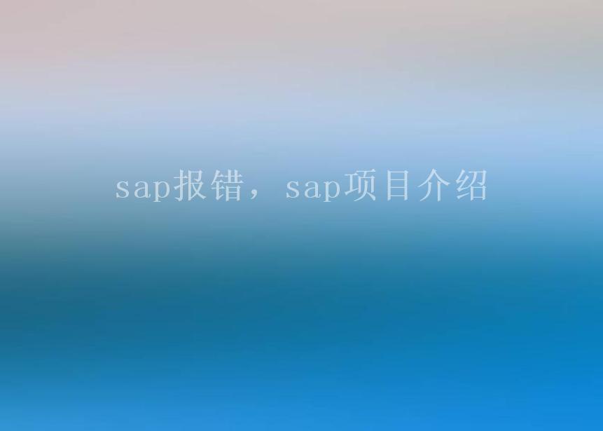 sap报错，sap项目介绍1