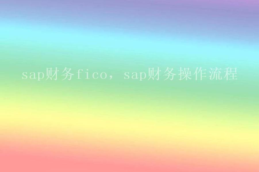 sap财务fico，sap财务操作流程1