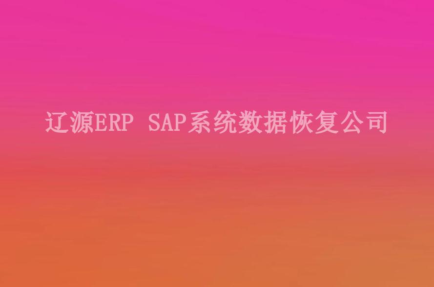 辽源ERP SAP系统数据恢复公司2