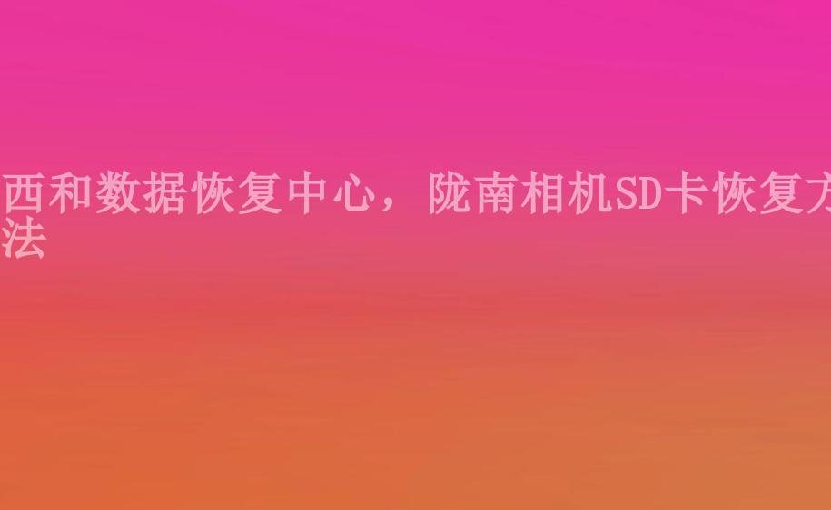 西和数据恢复中心，陇南相机SD卡恢复方法2