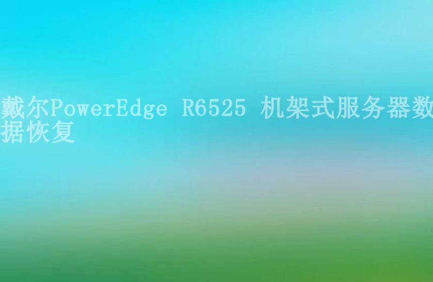 戴尔PowerEdge R6525 机架式服务器数据恢复1
