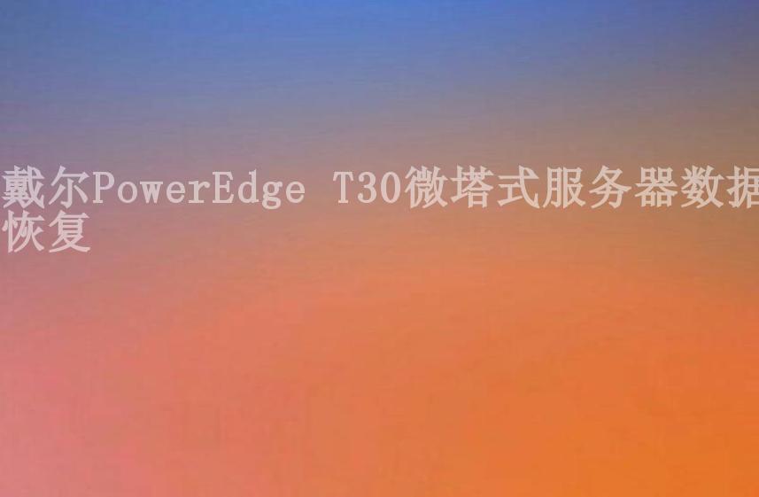戴尔PowerEdge T30微塔式服务器数据恢复2