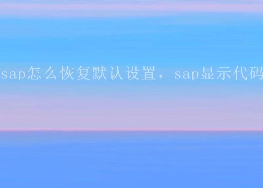 sap怎么恢复默认设置，sap显示代码2