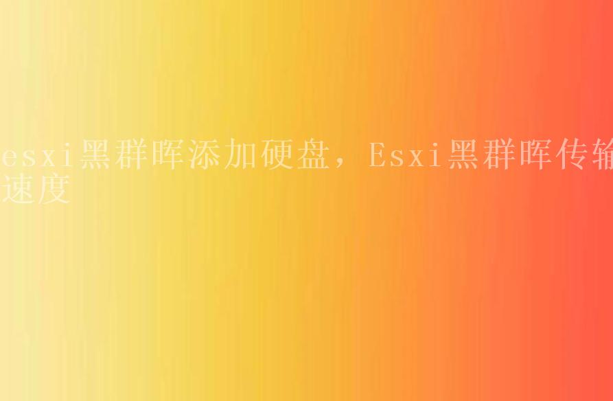 esxi黑群晖添加硬盘，Esxi黑群晖传输速度2