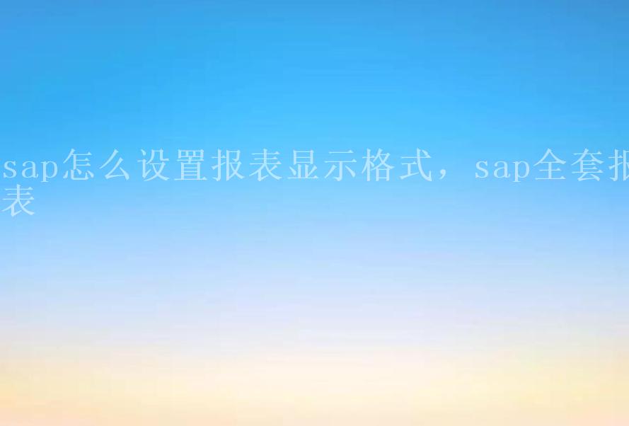 sap怎么设置报表显示格式，sap全套报表1