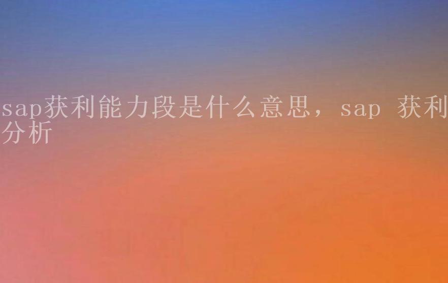 sap获利能力段是什么意思，sap 获利分析1