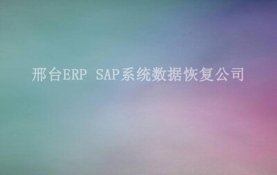 邢台ERP SAP系统数据恢复公司2