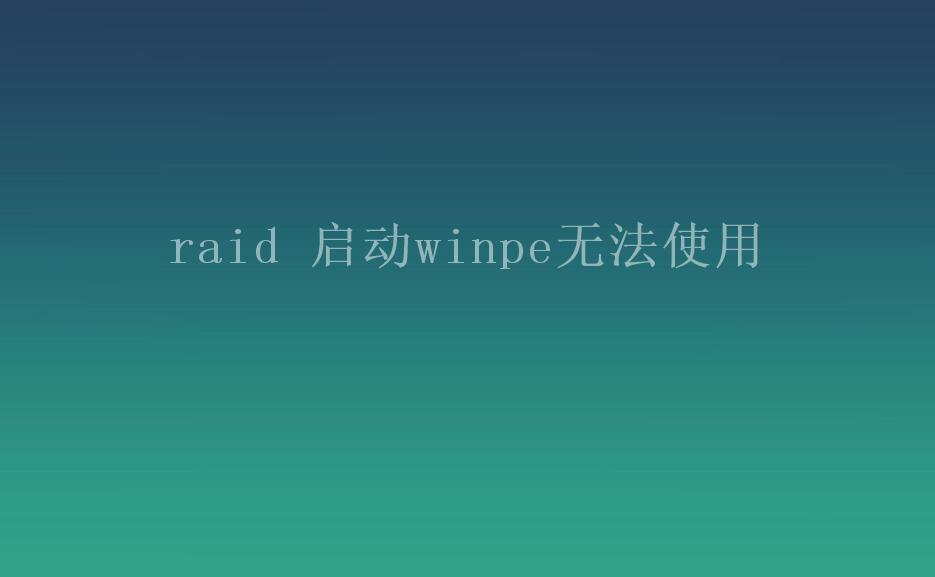 raid 启动winpe无法使用2