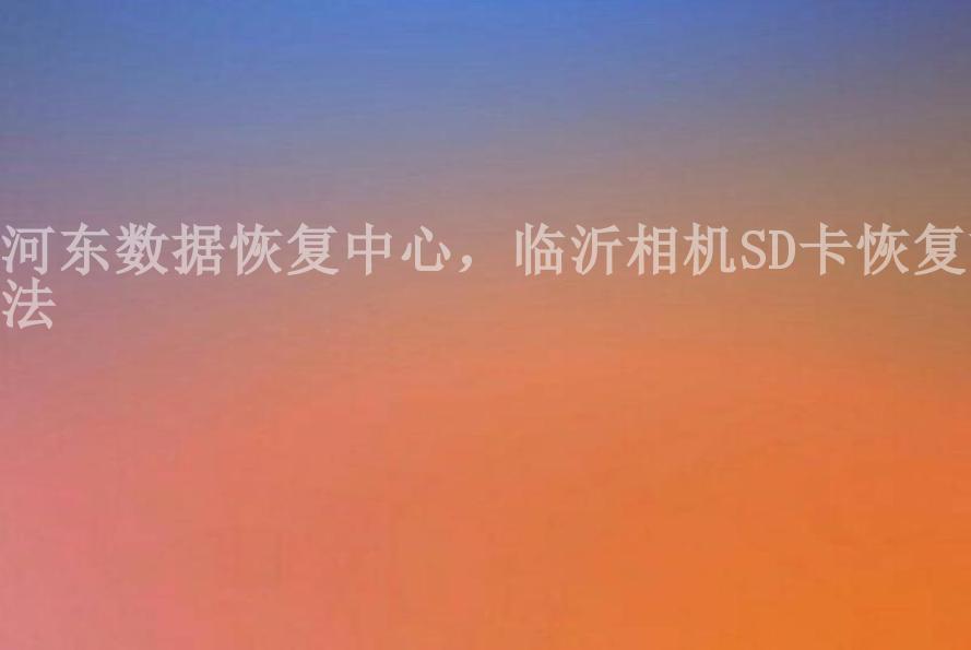 河东数据恢复中心，临沂相机SD卡恢复方法1