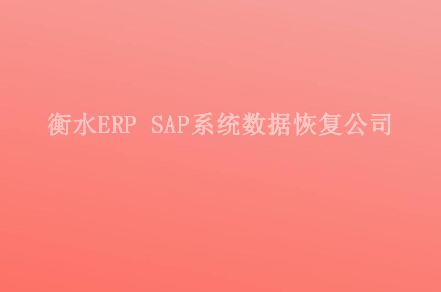 衡水ERP SAP系统数据恢复公司1