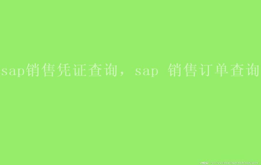 sap销售凭证查询，sap 销售订单查询2