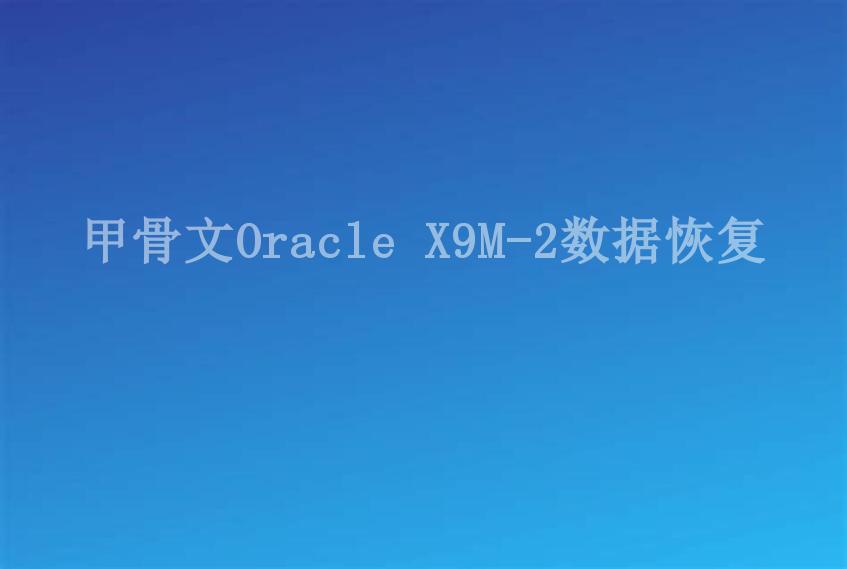 甲骨文Oracle X9M-2数据恢复2