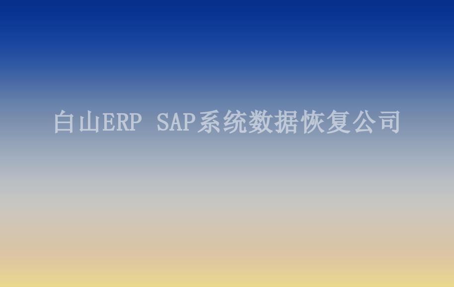 白山ERP SAP系统数据恢复公司2