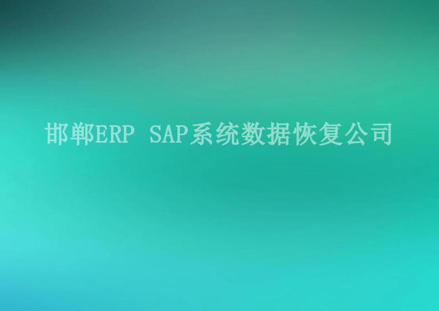 邯郸ERP SAP系统数据恢复公司1