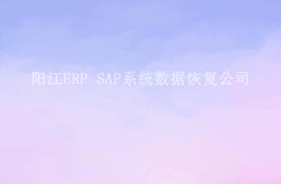 阳江ERP SAP系统数据恢复公司1