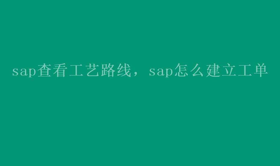 sap查看工艺路线，sap怎么建立工单2